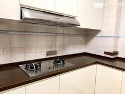Dover Parkview (D5), Condominium #459970761